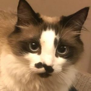 Meet your Posher, Markus